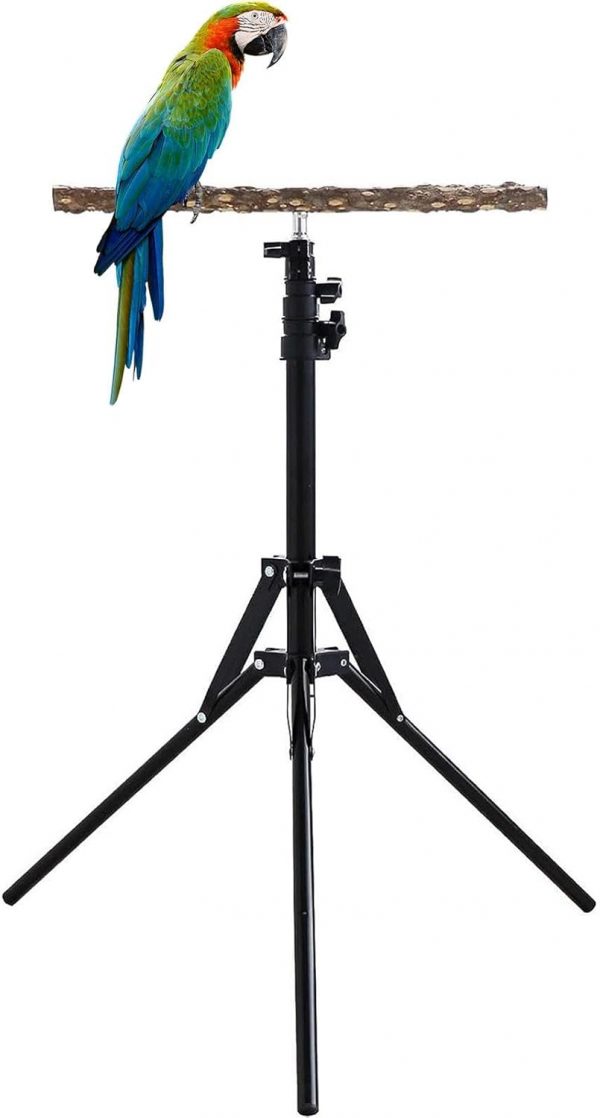 Soporte Ajustable para Perchas de Pájaros: Versatilidad, Comodidad y Mejora en el Entrenamiento