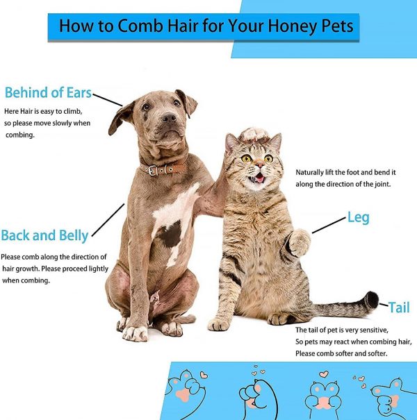 Cepillador para Perros y Mascotas: Elimina el Pelo de Forma Rápida y Eficaz - Imagen 5